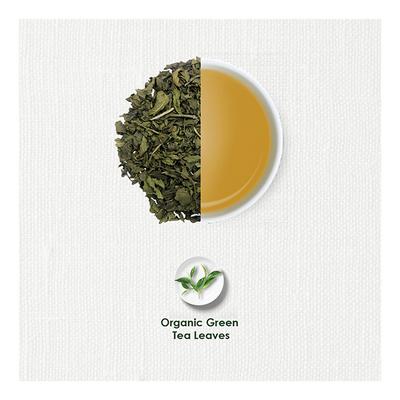 TGL Co. Tea Bag - Organic Green 16's - Green/Herbal Teas