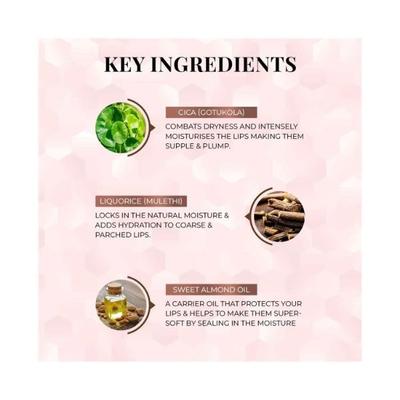 Just Herbs Ayurvedic Liquid Lipstick Kit Set of 3 with Long Lasting, Hydrating - Raspberry Pink, Cinnamon Spice & Rosewood Pink 6ml - Liquid Lipsticks