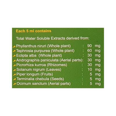 Tefroliv Forte Syrup 200ml - Liver Disease