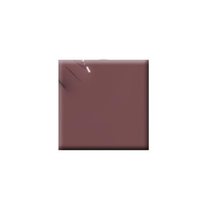 Colorbar Vegan Nail Lacquer-Princely-069 8 ml - Nail Polish