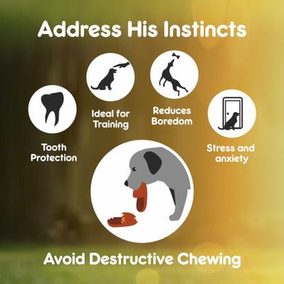 Purepet Pressed Chew Bones, Dog Treats, 6 inches - Pack of 4 Bones 360 gm - Petfood
