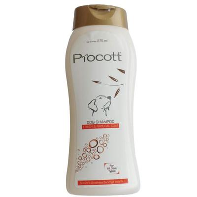 Intas Procott Shampoo 275 ml - Pet Grooming