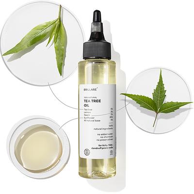 Brillare Tea Tree Oil For Itchy, Flaky, Dandruff Prone Scalp 100 ml - Hair Oils
