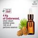 Raymond Moroccan Cedar Edp 45 ml - Men Perfumes (Edt/Edp)