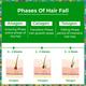 Passion Indulge Rosemary Hair Growth Serum with Redensyl, Water Based Hair Serum for Hair Growth 50 ml - Hair Serums