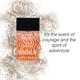 Giordano Wild Safari Eau De Parfum 100 ml - Men Perfumes (Edt/Edp)