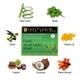 Soulflower Soap - Cool Aloe Vera 150 gm - Soaps