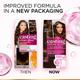 L'Oreal Paris Casting Creme Gloss Hair Color, 530 Praline Brown 87.5g+72ml 1's - Crème