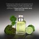 Calvin Klein Eternity Eau De Toilette 50 ml - Men Perfumes (Edt/Edp)