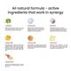 Wellbeing Nutrition Melts Instant Energy, 100% Plant Based Green Tea Caffeine, Essential Electrolytes and Vitamins (30 Strips) - Energy Drinks