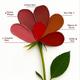Kiro Fleur Serum Lip Balm- Hibiscus Bloom (Red) 2 gm - Lip Balms