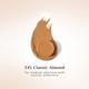 Pilgrim Classic Almond Foundation Stick, Dream Matte, Lightweight, Full Coverage with Vitamin C 10 gm - Foundation