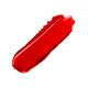 Insight Cosmetics Matte Lip Ink-Cherry Bomb 4gm - Liquid Lipsticks
