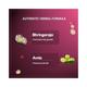 Himalaya Anti Hair Fall Hair Oil 100 Ml - Hair Oils