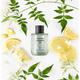 Marks & Spencer Water Jasmine Eau de Toilette 100 ml - Body Mist/Spray