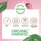 Organic Harvest Velvet Matte Liquid Lipstick - Deep Berry Rose 2.6 ml - Liquid Lipsticks