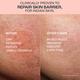 Lakme Peach Creme Moisturiser, Ceramide & Peptide, Skin Barrier Repair & Hydrated Glow 200 gm - Creams/Oils/Lotions