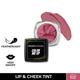 Faces Canada Colour Me Up Lip & Cheek Tint - Blush Rose 01, 3gm - Lip Glosses