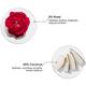 Brillare Rose & Coconut Body Lotion 200 ml - Lotions & Creams