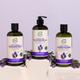 Petal Fresh Soothing Lavender Bath and Shower Gel 475 ml - Shower Gels & Body Wash
