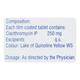 CRIXAN 250mg Tablet 10's - Bacterial Infections-Mac