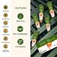 Lotus Botanicals Vitamin C Skin Brightening Facial Kit, 5 Step Facial Pack, For All Skin Types 44 gm - Facial Kits