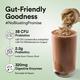 Wellbeing Nutrition Organic Vegan Plant Protein Isolate - Belgian Dark Chocolate 907 gm - Protein Drink