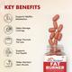 Dr. Morepen Fat Burner Tablet 60's - Weight Loss