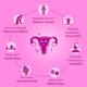 Power Gummies - Gummies For That Time Of The Month Period Pain Relief Gummies 10's - Women Health