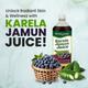 Baidyanath Karela Jamun Juice - Bitter Gourd and Black Plum 1 litre - Ayurvedic Juices