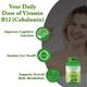 Planet Ayurveda Plant Based Vitamin B12 Capsule 60's - Speciality Medicines