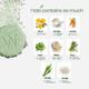 Wellbeing Nutrition Daily Greens Wholefood Multivitamin with Vitamin C, Zinc, B6, B12 for Immunity and Detox - Multi-Vitamins