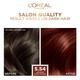L'Oreal Paris Excellence Fashion Highlights Hair Color, with Color-Boost Technology 5.54 Intense Warm Auburn 172ml - Crème