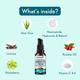 WishCare Collagen Boosting Under Eye Cream For Dark Circle Puffy Eyes & Wrinkles - Coffee & Almond 30 ml - Under Eye Creams & Serums
