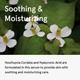 One Thing Houttuynia Cordata Serum 80 ml - Face Serum