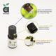 Anveya Peppermint Essential Oil 15 ml - Carrier Oils