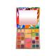 Colorbar Spellbound Eyeshadow & Blush Palette 24 Shades 36 gm - Eye Shadow Palettes