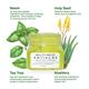 Bella Vita Organic Anti Acne, Pimple Scar Spots Removal Cream Gel 85 gm - Face Gels