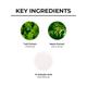 Dr. Sheth'S Neem & Salicylic Acid Face Wash 100 gm - Face Wash & Cleansers