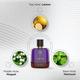 The Man Company EDP For Men - High Tide 100 ml - Men Perfumes (Edt/Edp)
