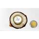 Bodycafe Coconut Lip Balm 10 gm - Lip Balms