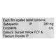 Gabagesic 300mg Tablet 10'S - Neuropathic Pain-Dru