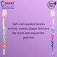 MAXI Zebra Toothbrush - Soft/Medium (Buy 1 Get 1 Free) - Toothbrushes