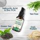 WishCare 2% Salicylic Acid Serum For Active Acne & Blackheads With Zinc Pca Tea Tree & Green Tea 30 ml - Face Serum