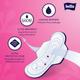 Bella Classic Regular Drai Wings Sanitary Pad 8's - Sanitary Napkins