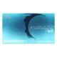 Androfol M Tablet 10'S - Supplements-Vam