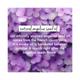Love Beauty And Planet Rice Water & Angelica Seed Oil Silicone Free Leave-In Conditioner 200 ml - Conditioners