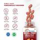 Dr. Morepen Iron & Zinc with Vitamin C & B12 Tablet 60's - Calcium And Minerals