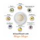 TGL Co. Green Tea Bag - Mogo Mogo 16's - Green/Herbal Teas