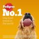 Pedigree Adult Chicken Biryani 1 kg - Pet Healthcare